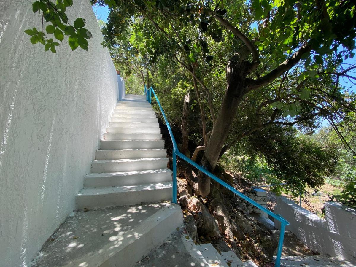 فيرما Oleander'S Garden Traditional Cretan Cottage المظهر الخارجي الصورة
