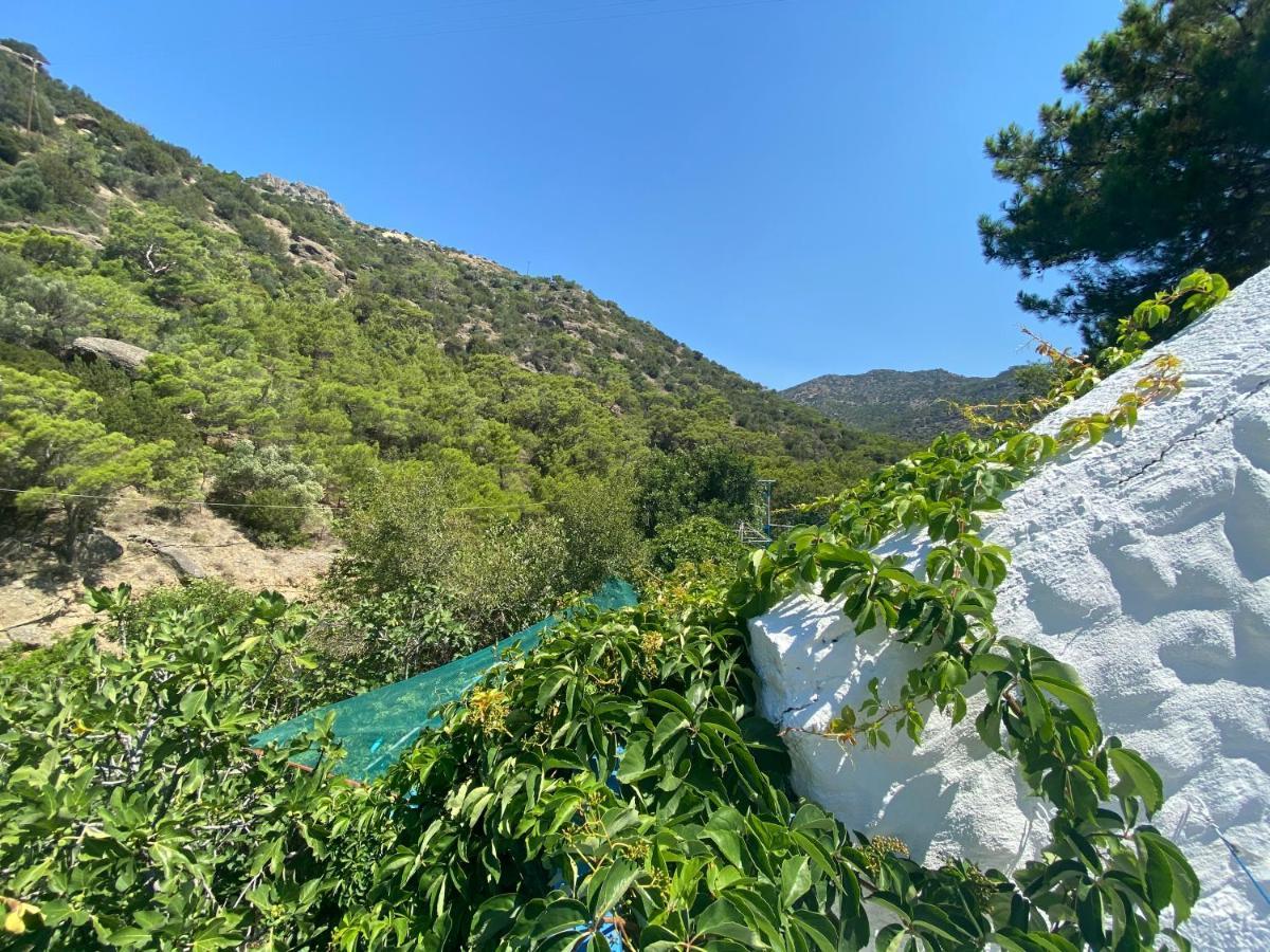 فيرما Oleander'S Garden Traditional Cretan Cottage المظهر الخارجي الصورة
