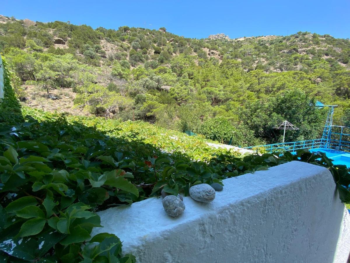 فيرما Oleander'S Garden Traditional Cretan Cottage المظهر الخارجي الصورة