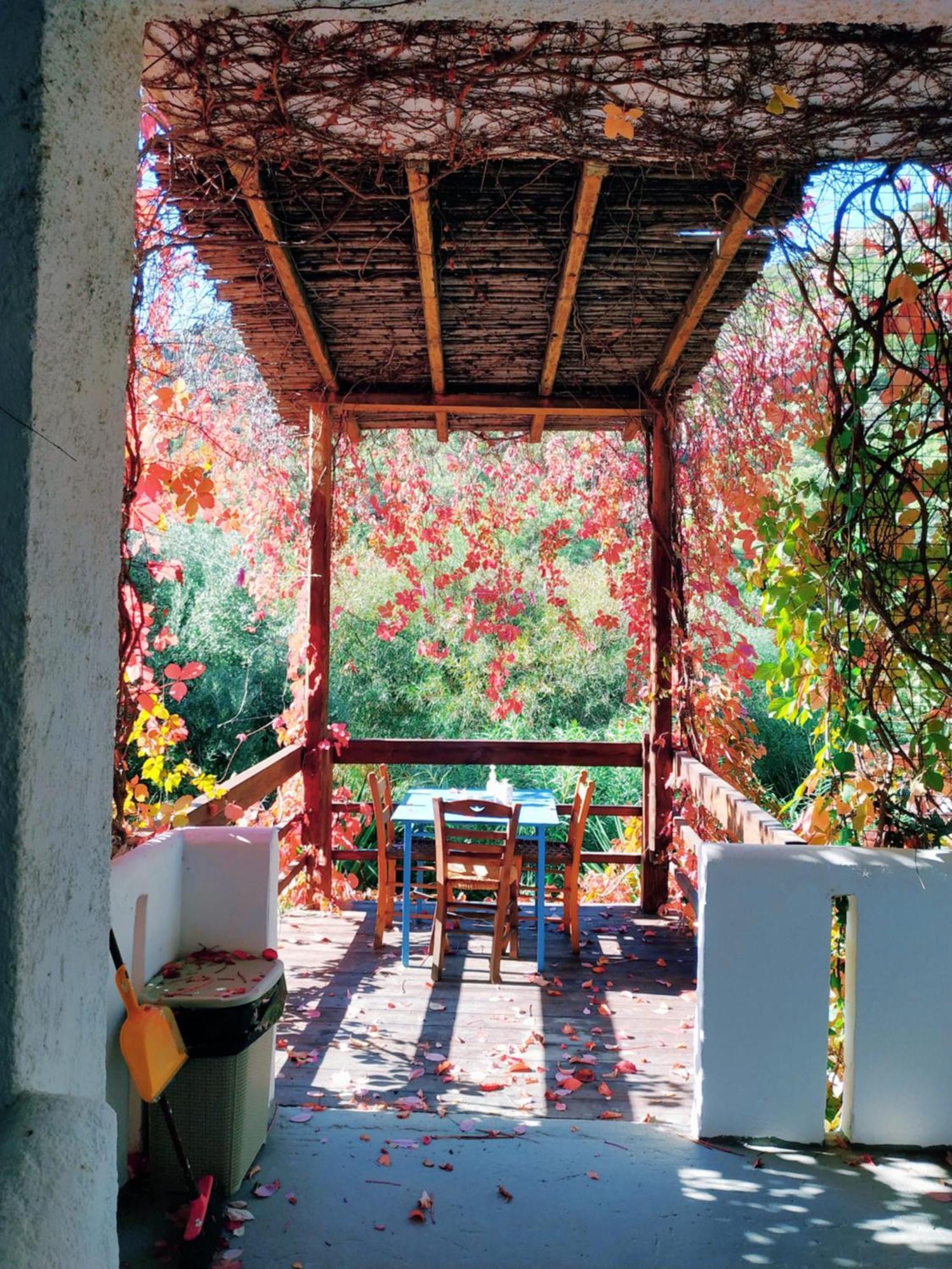 فيرما Oleander'S Garden Traditional Cretan Cottage المظهر الخارجي الصورة