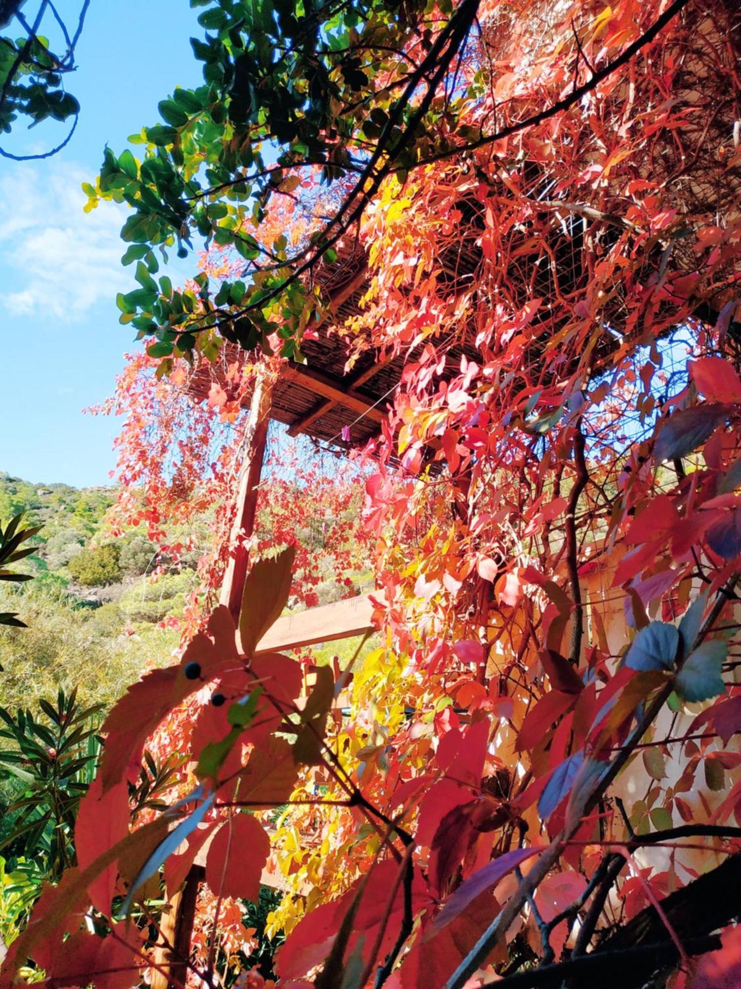 فيرما Oleander'S Garden Traditional Cretan Cottage المظهر الخارجي الصورة