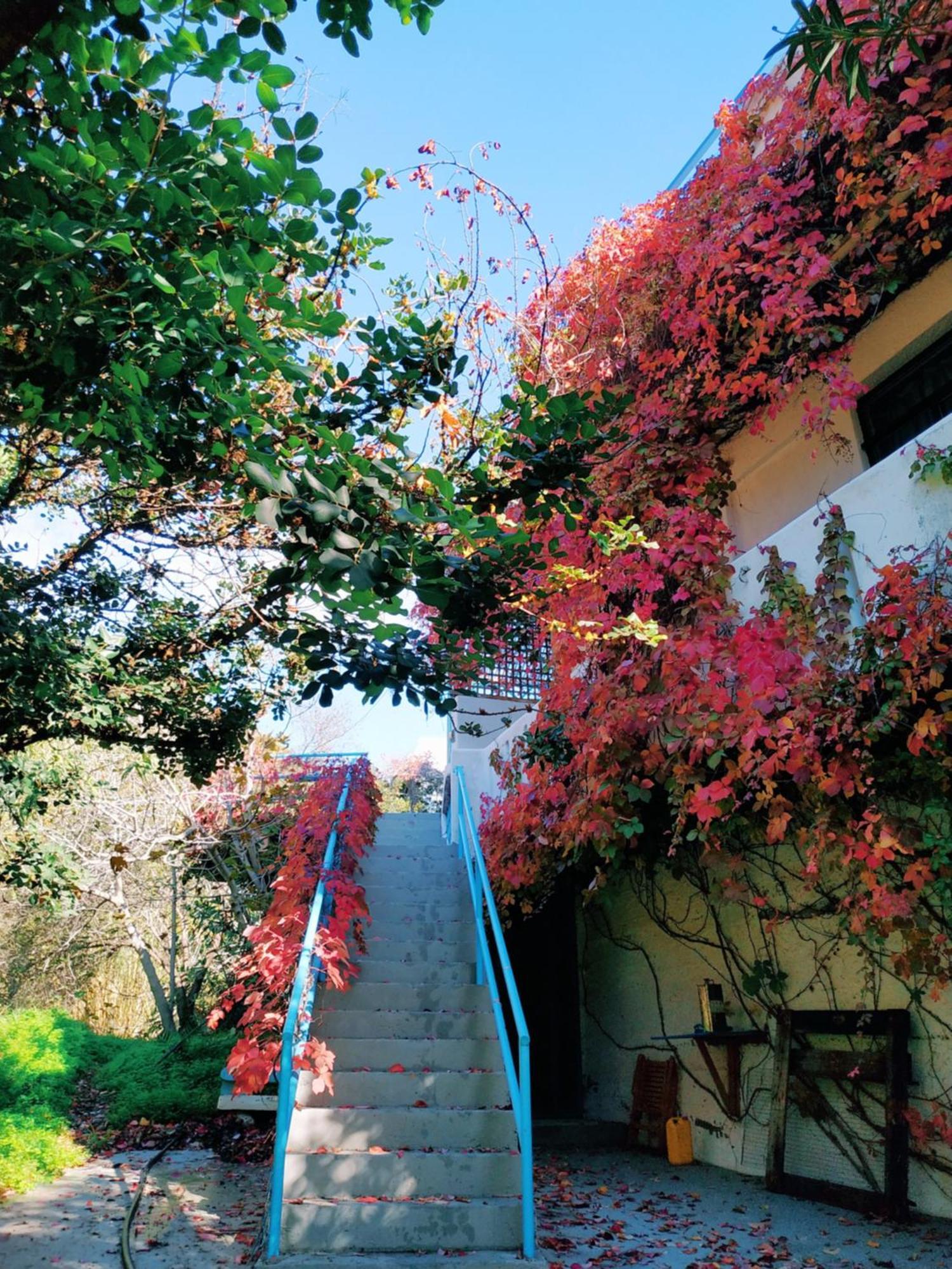فيرما Oleander'S Garden Traditional Cretan Cottage المظهر الخارجي الصورة