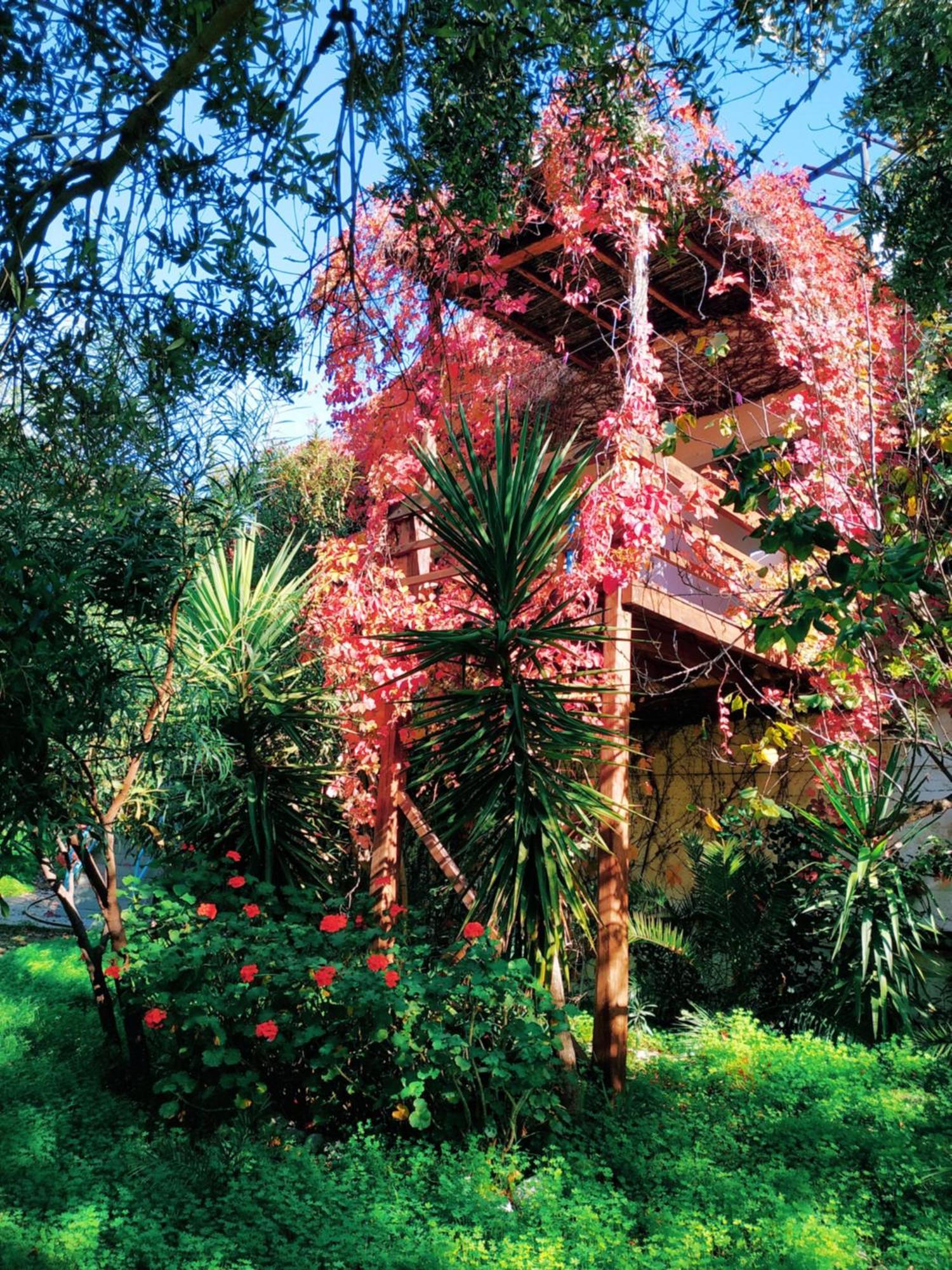 فيرما Oleander'S Garden Traditional Cretan Cottage المظهر الخارجي الصورة
