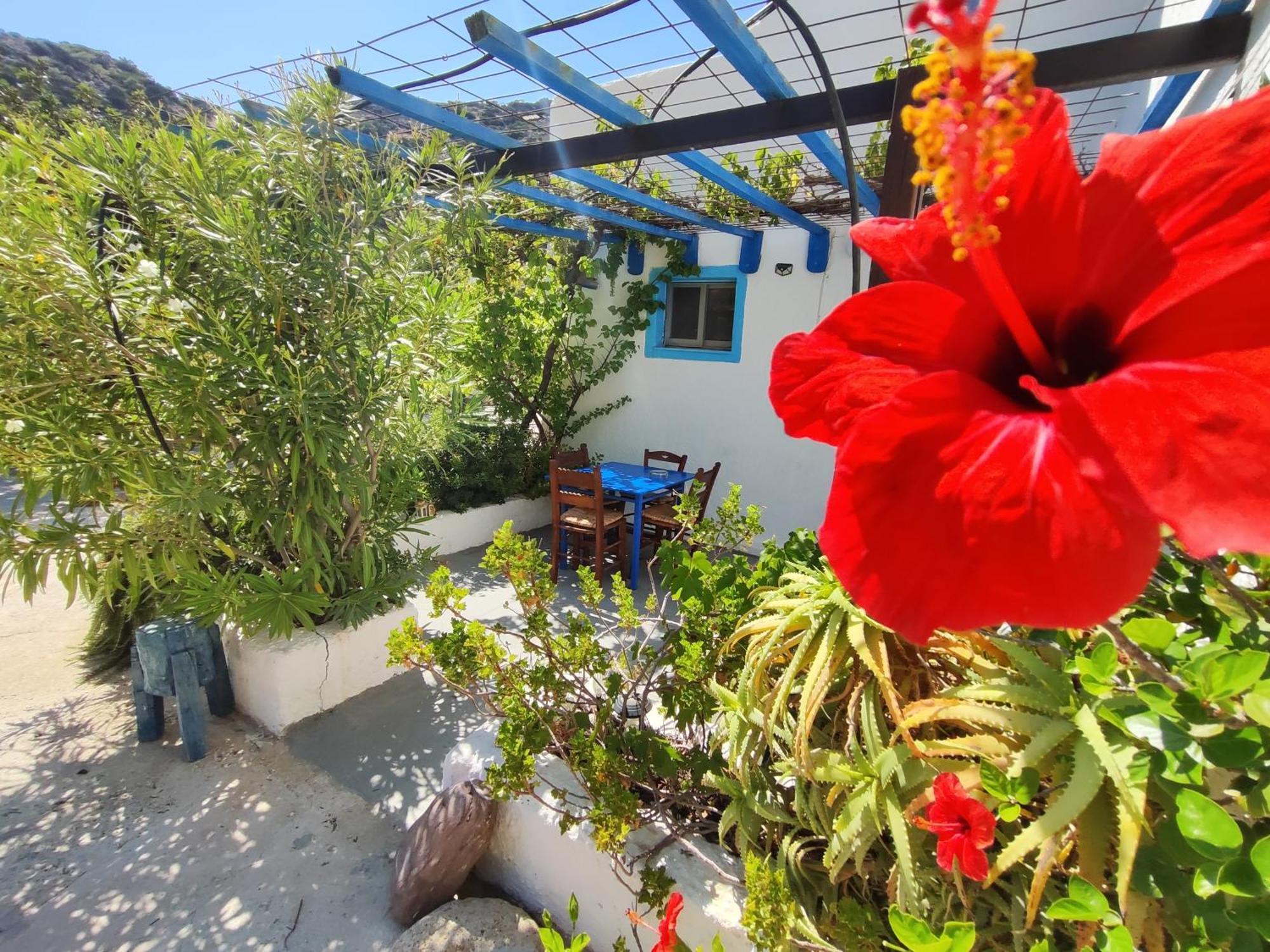 فيرما Oleander'S Garden Traditional Cretan Cottage المظهر الخارجي الصورة