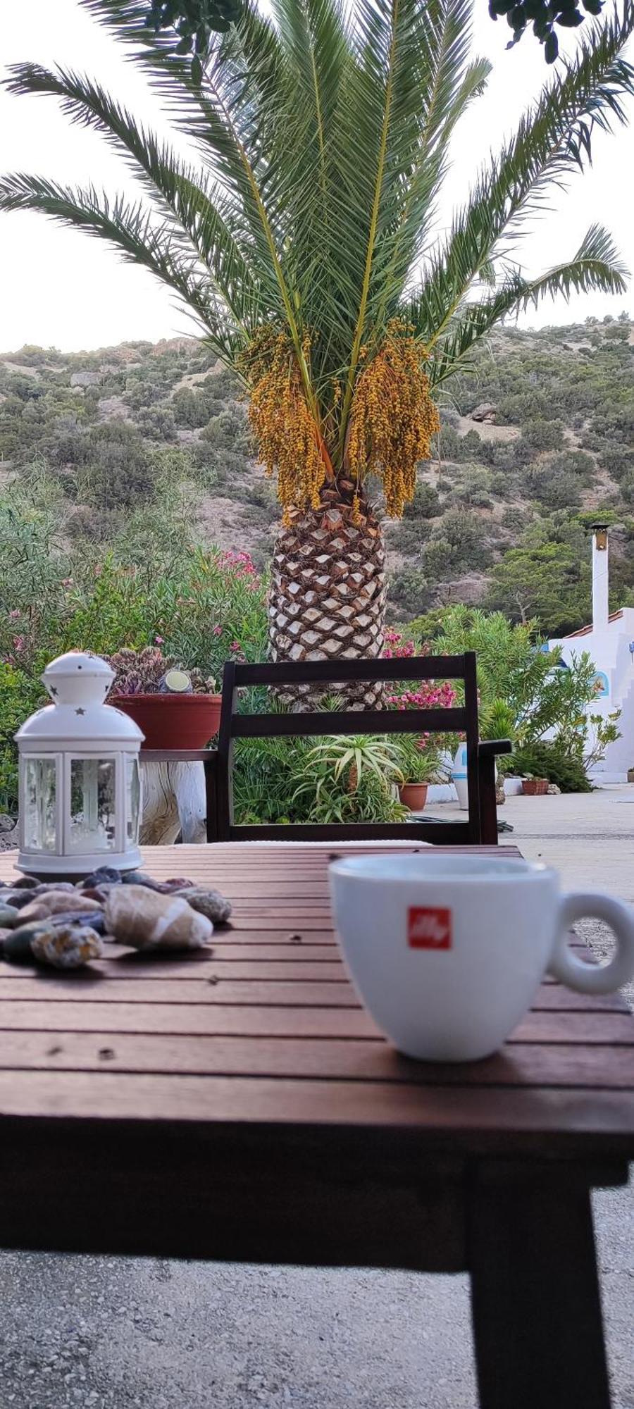 فيرما Oleander'S Garden Traditional Cretan Cottage المظهر الخارجي الصورة
