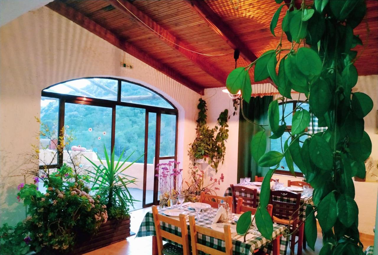 فيرما Oleander'S Garden Traditional Cretan Cottage المظهر الخارجي الصورة